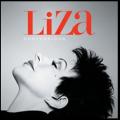 Liza Minnelli - Condessions